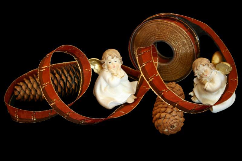 Weihnachtsband Jerusalem Braun mit Draht 25mm