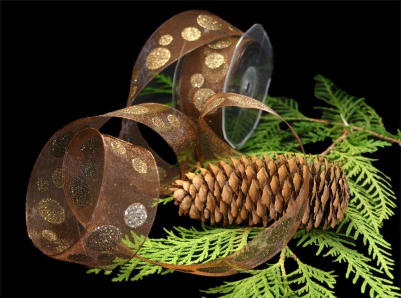 Organzaband Bubbles Braun mit Draht 40mm