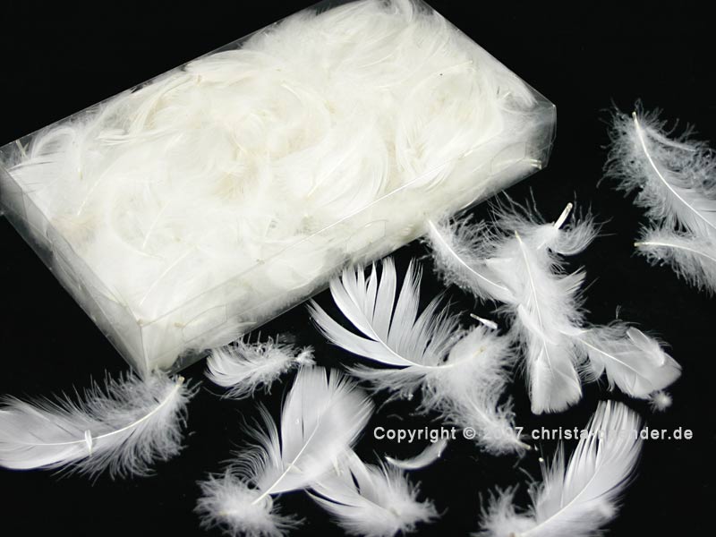 Federn lose, Weiß 15 g