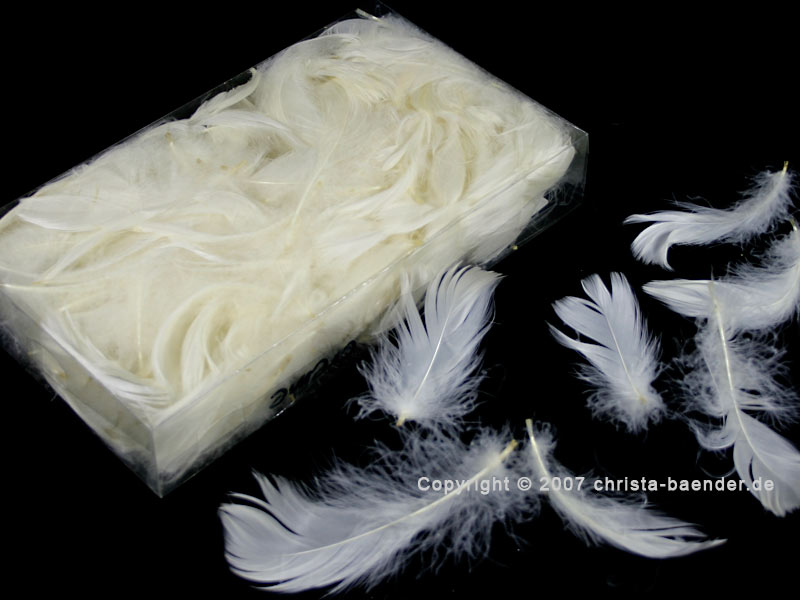 Federn lose, Creme 15 g