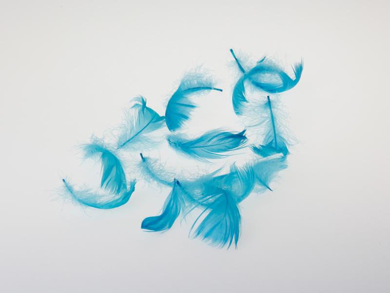 Federn lose, Türkis 15 g