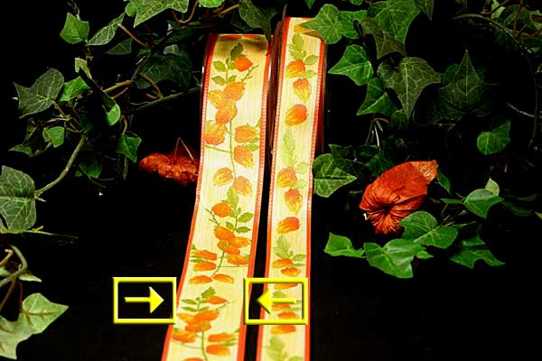 "Ballonfrucht" mit Draht, 40mm Orange/Creme