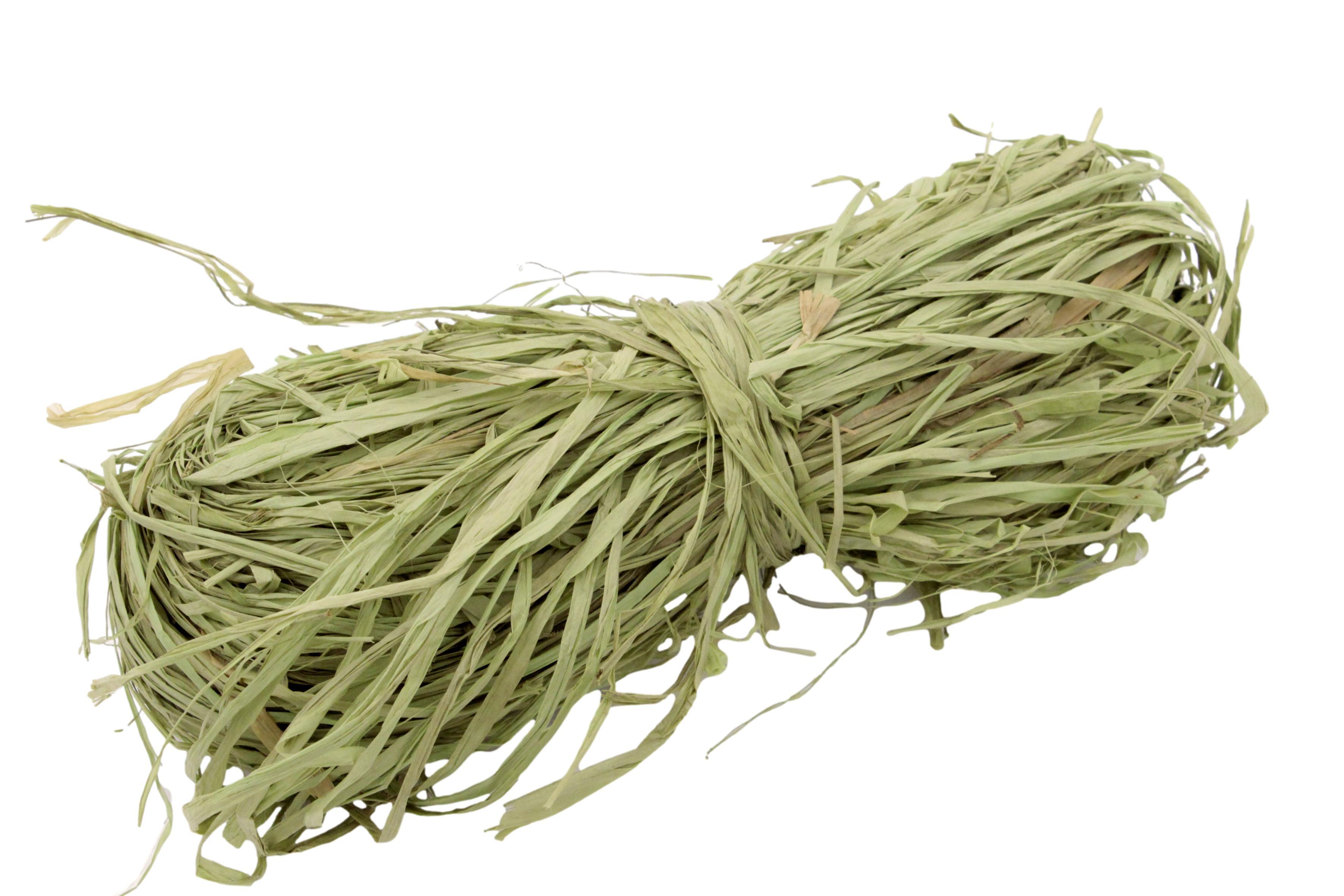 Bast-Fäden Grün hell ohne