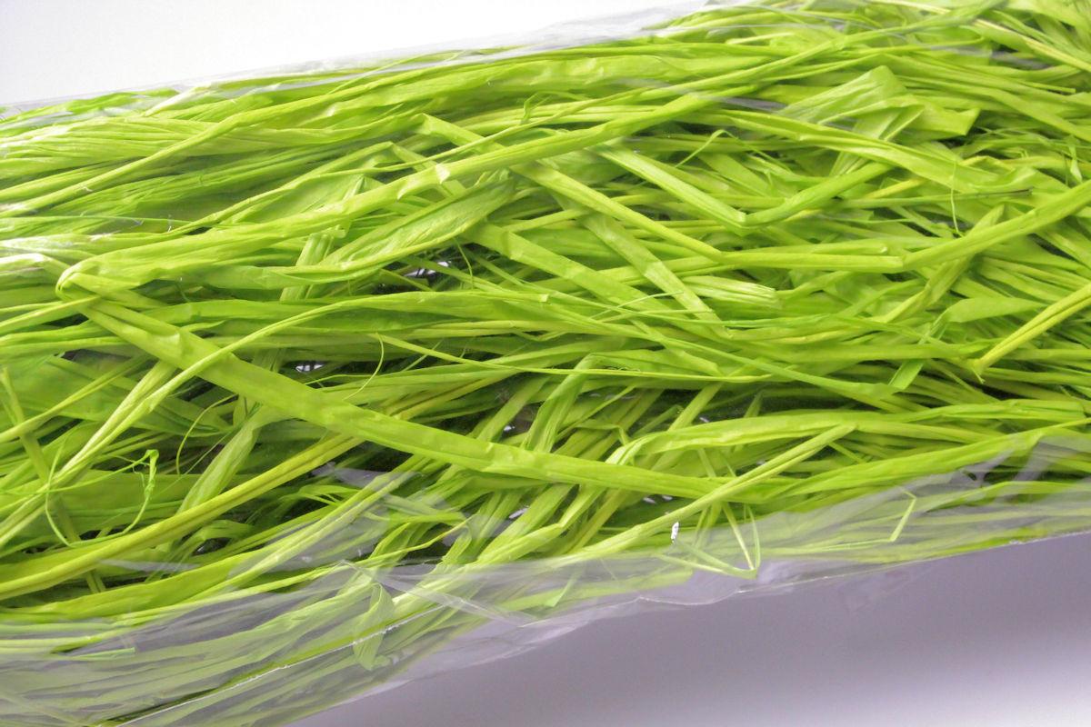 Bast-Fäden Hellgrün ohne Draht ca. 1m