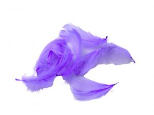 Geschenkband Dekoband Schleifenband Federn lose flieder 15gr Box