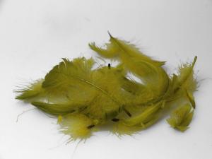 Federn lose olivegrün 15gr - Geschenkband günstig online kaufen!