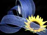 Gitterband Feingitter Blau ohne Draht 50mm Gitterband Feingitter Blau ohne Draht 50mm