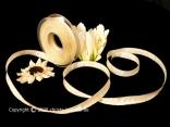 Uniband Goldkante Moskau Creme mit Draht 15mm Uniband Goldkante Moskau Creme mit Draht 15mm