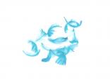Federn lose hellblau 15gr Box Federn lose hellblau 15gr Box