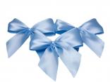 Fertigschleife 2-Flügel hellblau 25mm 25 Stück Fertigschleife 2-Flügel hellblau 25mm 25 Stück